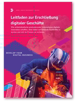 Gründer können ihren Unternehmenserfolg durch verschiedenen Arten von digitalen Geschäftsmodellen
